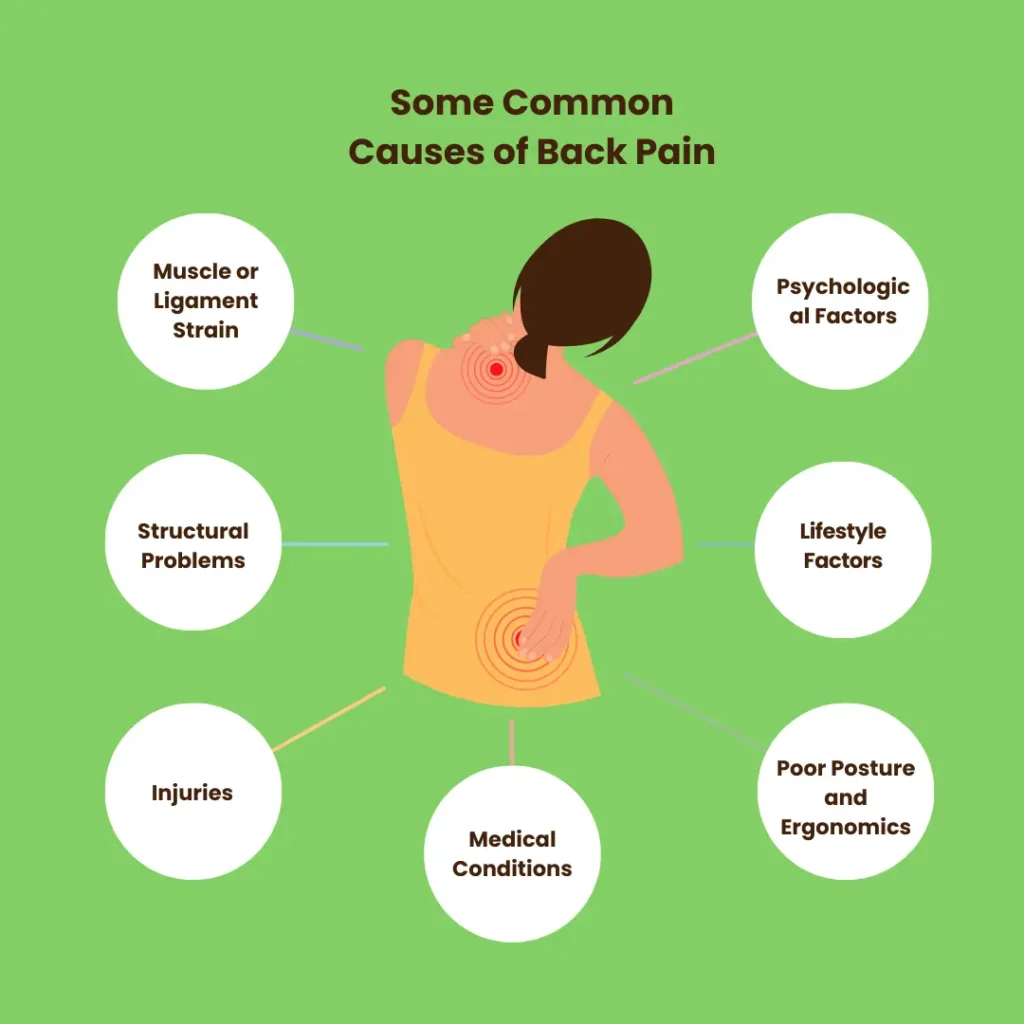 What Are The Causes of Back Pain
